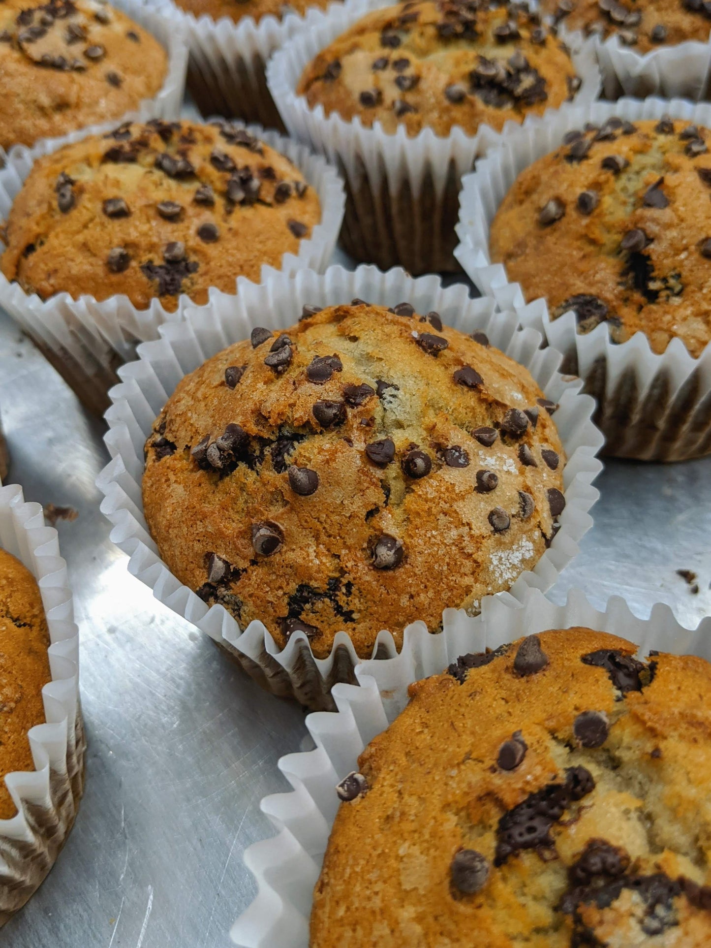 Banana Chocolate Chip Muffin