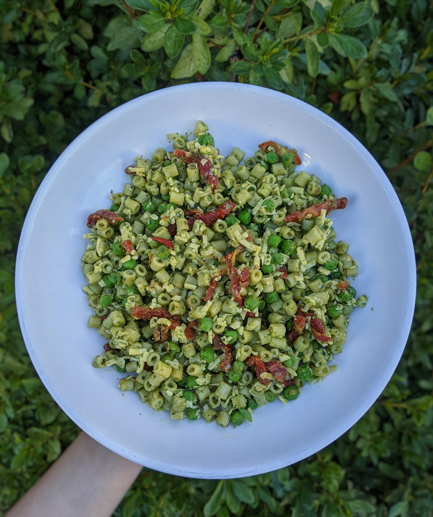 Pesto Ditalini Pasta Salad