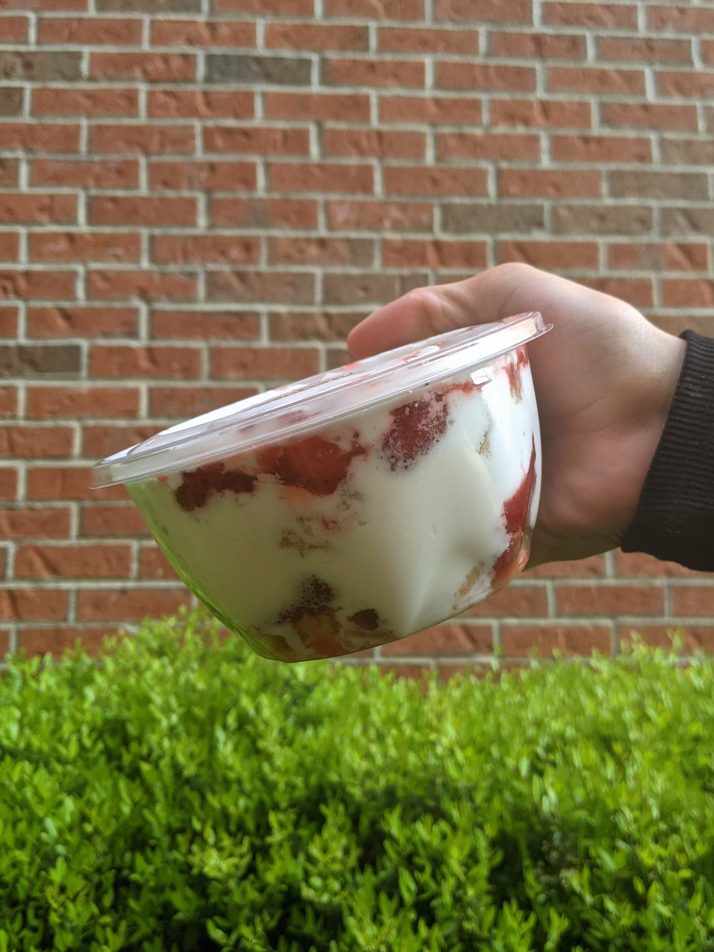 Strawberry Shortcake Bowl