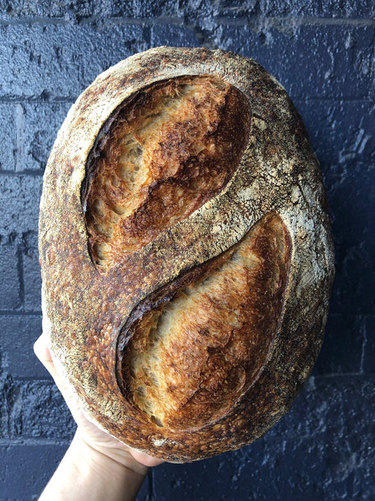 Country Sourdough, 1.4# hearth loaf