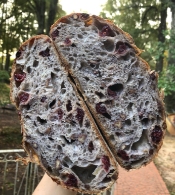 Apple Cranberry Pecan Sourdough