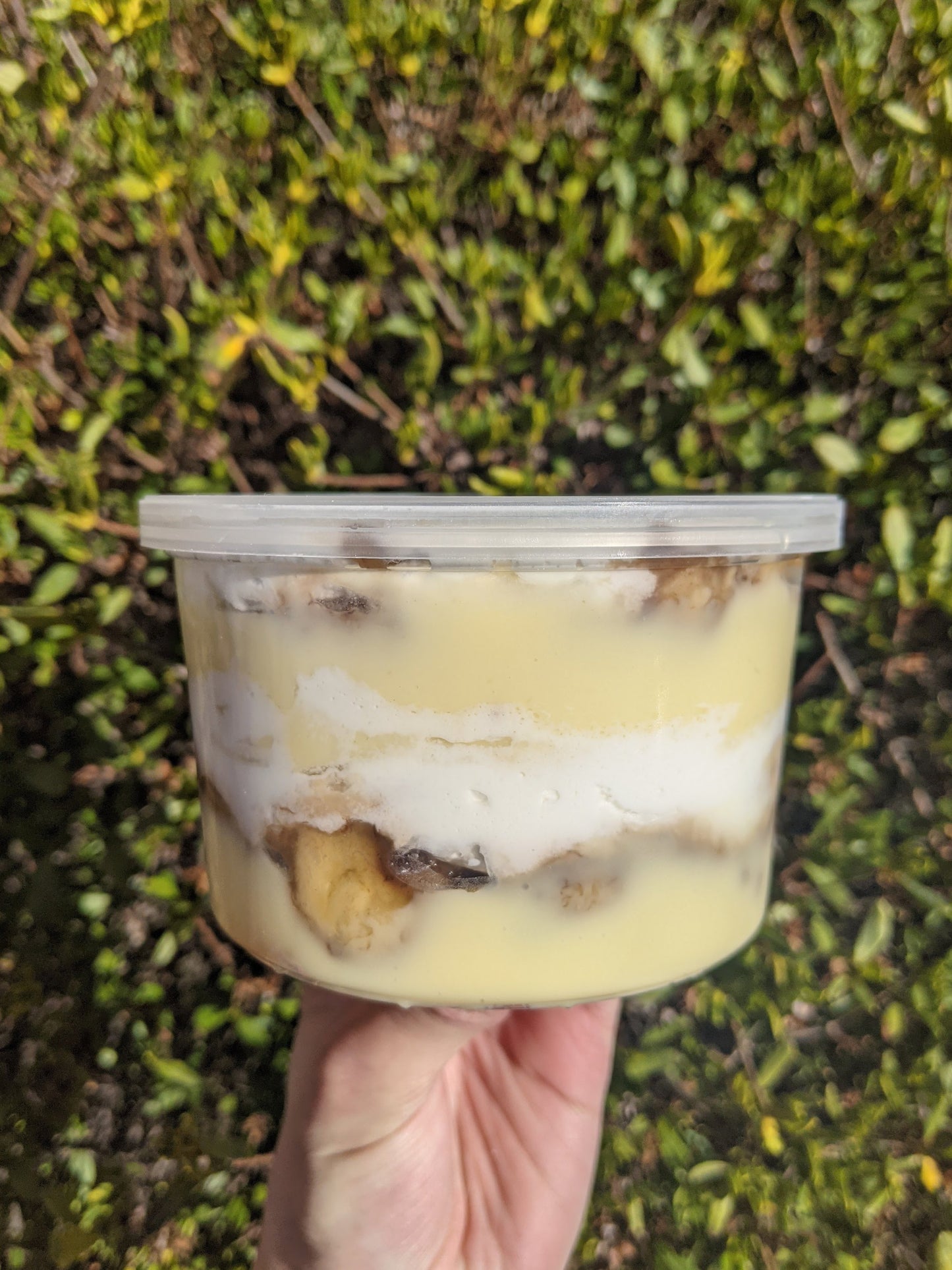 Banana Pudding