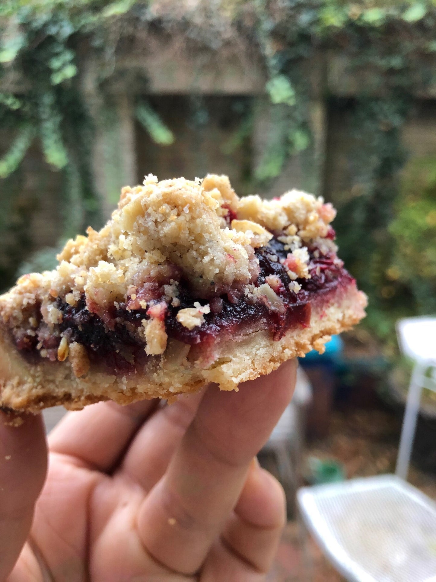 Raspberry Jam Bar