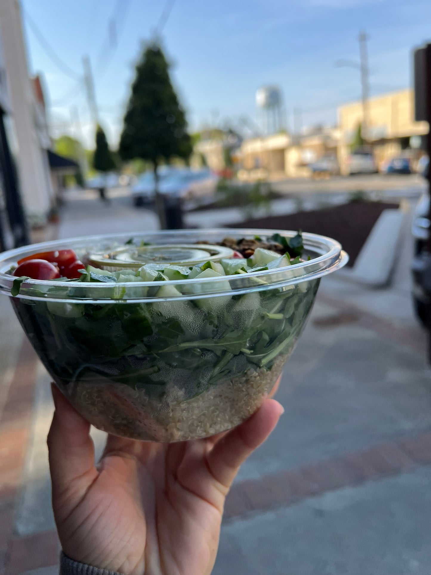 Toasted pistachio, quinoa, and feta salad bowl