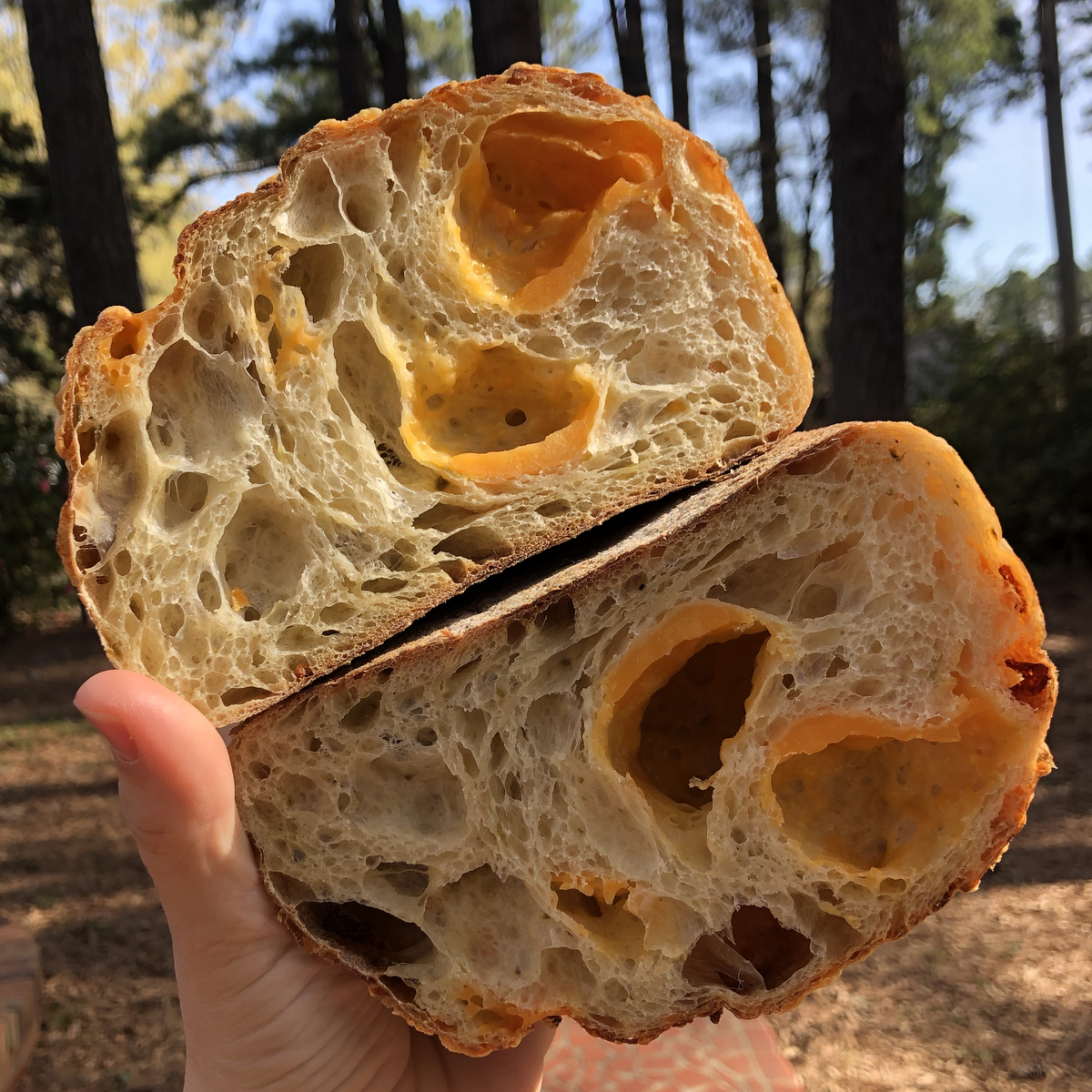 Jalapeno Cheddar Sourdough