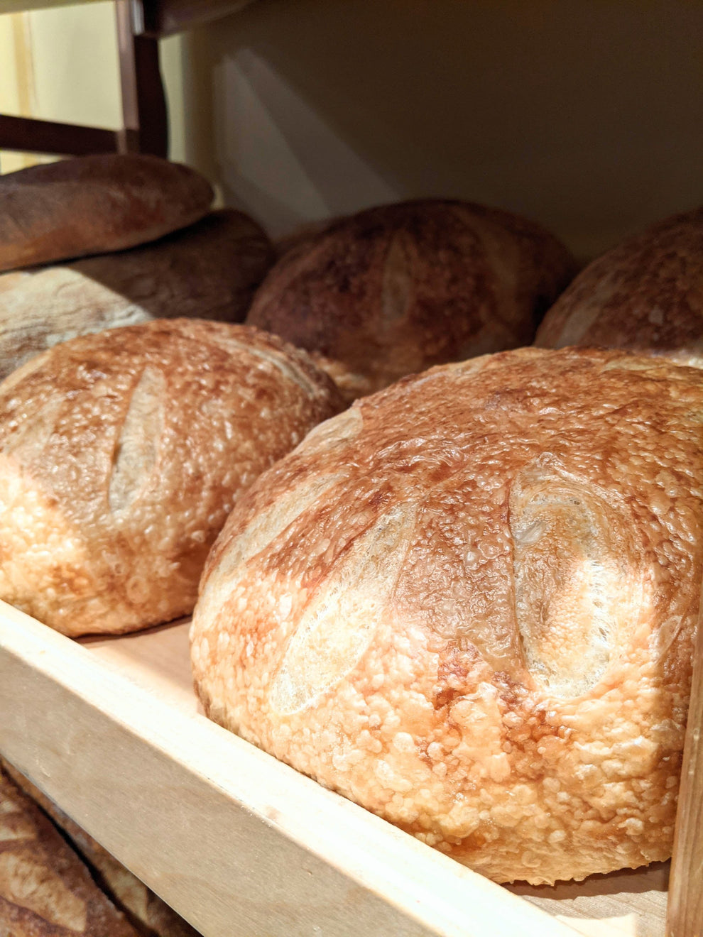 Pugliese Strong Arm Baking Company